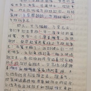 篮球训练收获及感想作文题目有哪些